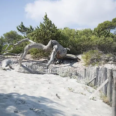 Appartement Neuf Avec Terrasse
