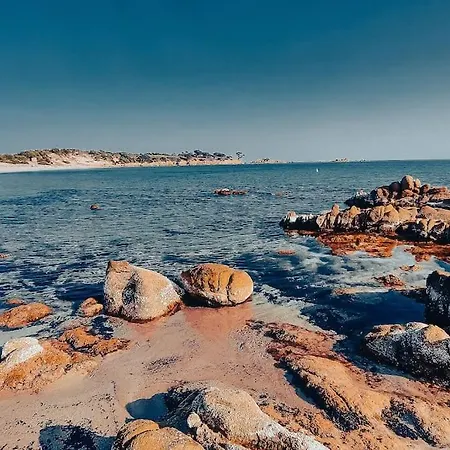 Neuf Avec Terrasse Saint-Florent (Corsica)