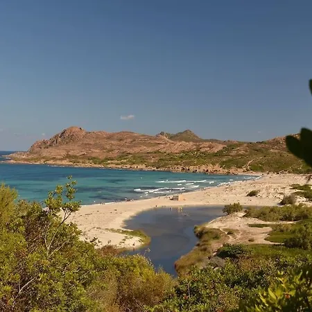 Neuf Avec Terrasse Saint-Florent (Corsica)