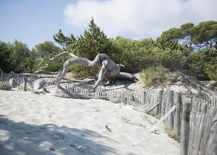 公寓 Neuf Avec Terrasse