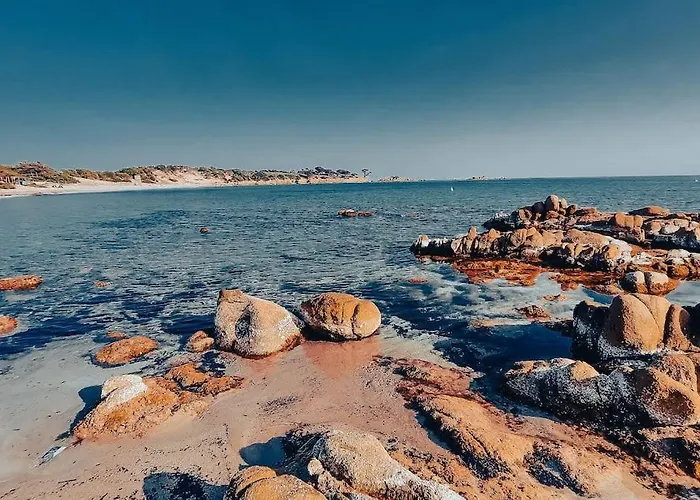 Neuf Avec Terrasse Saint-Florent (Corsica)