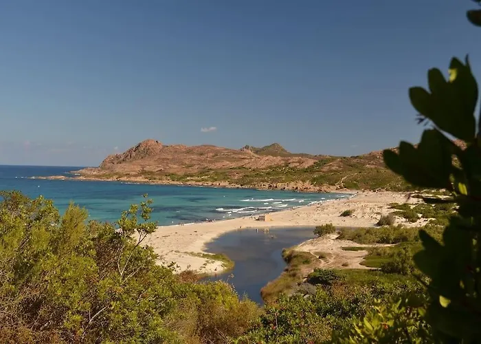 Neuf Avec Terrasse Saint-Florent (Corsica)